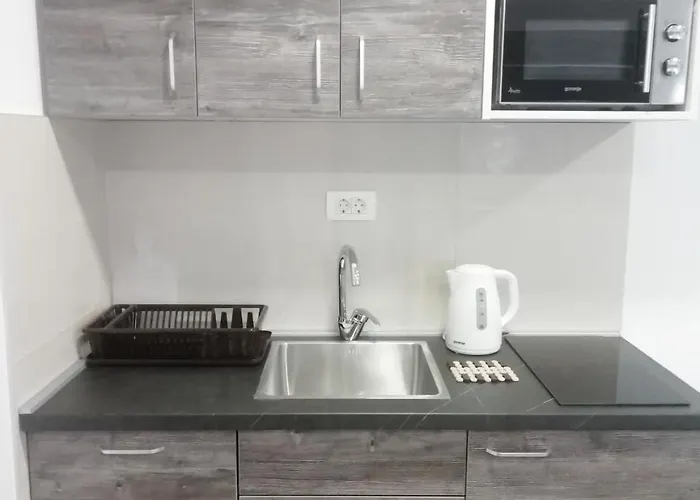 Centar 1 Apartment *